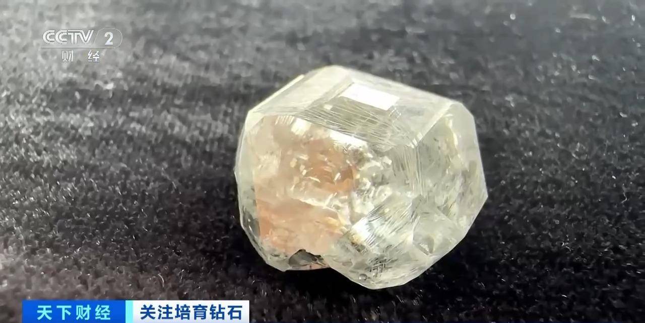市场份额超56%！培育钻石“闪耀”美国珠宝市场，掀销售热潮