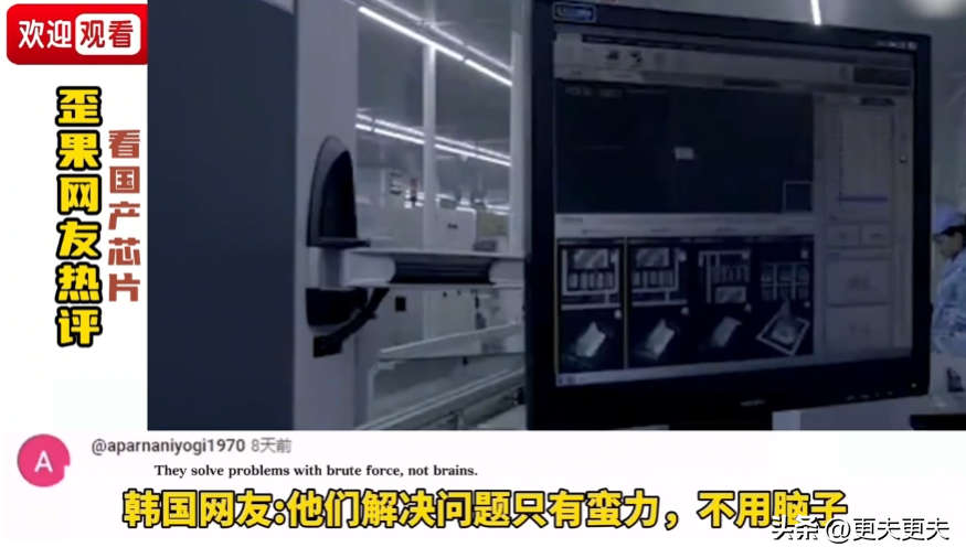 外国网友如何评价国产芯片？韩国网友：若造出来我将喝干太平洋