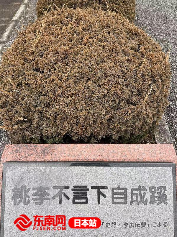 日本知名牛仔布制造商Kaihara Denim的成功秘诀