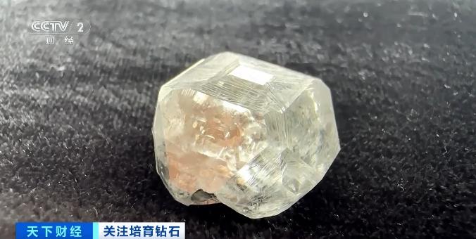 市场份额超56%！培育钻石“闪耀”美国珠宝市场，掀销售热潮