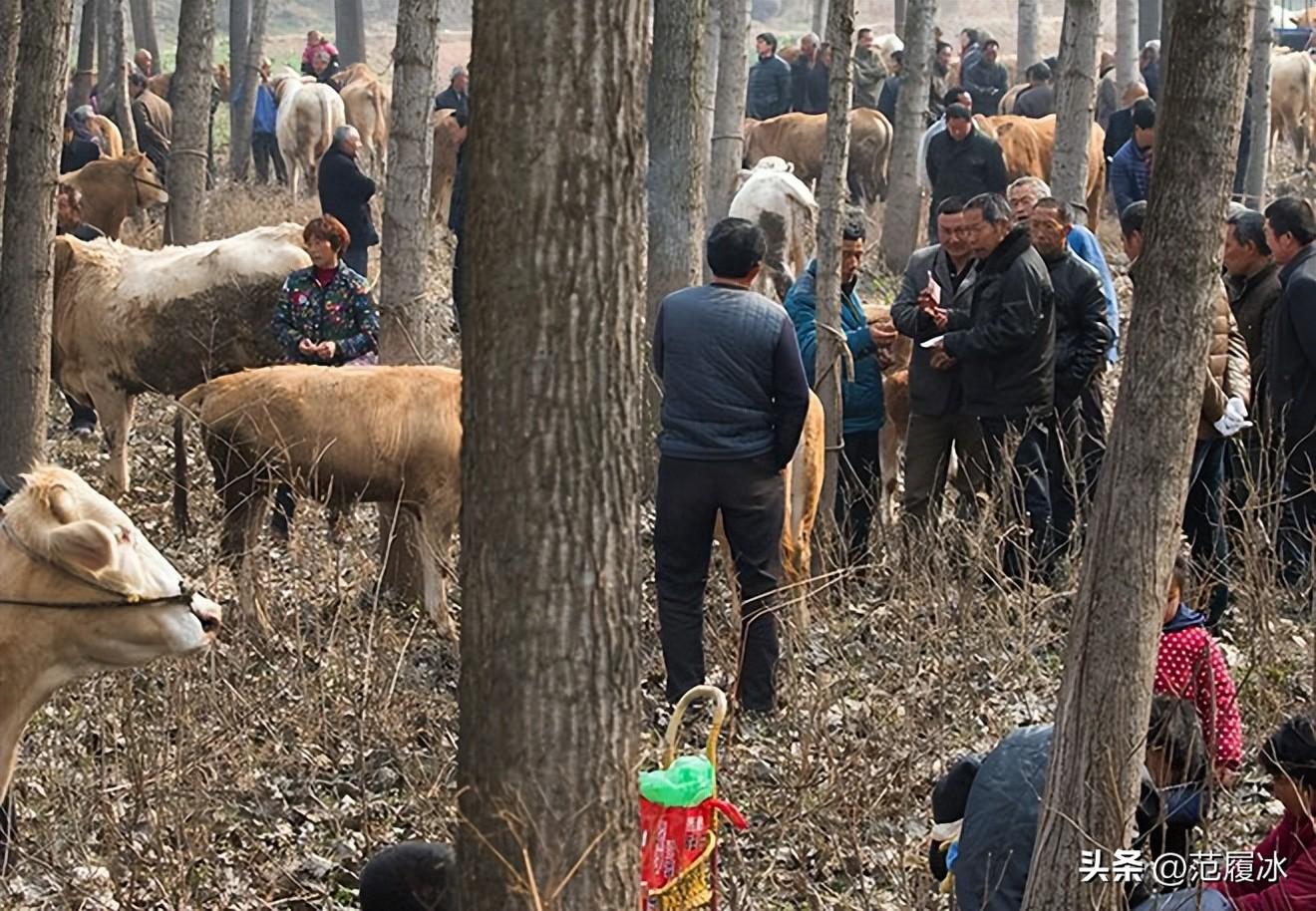 古老而又神秘交易的手势语言，估计要失传了，你肯定没见过…