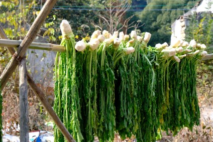 舌尖上的萧山记忆:揭秘【菜菩头】的传奇风味与历史渊源