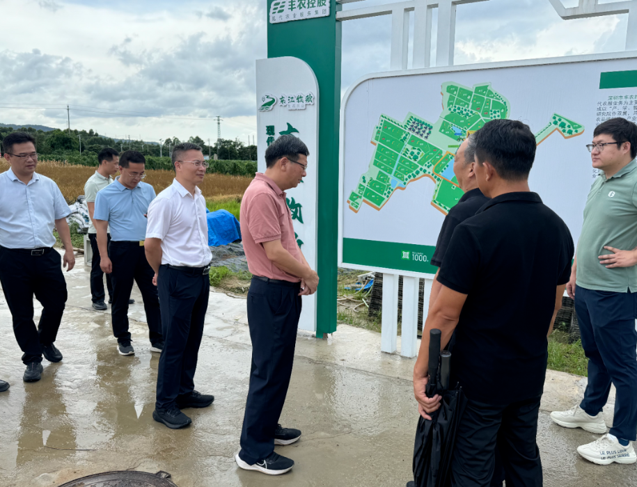东江牧歌模式获惠州市农业农村局局长张文正高度认可，智慧农业成惠州农业发展亮点