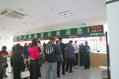 聚焦｜国庆假期前三日，伊吾胡杨景区接待游客破万