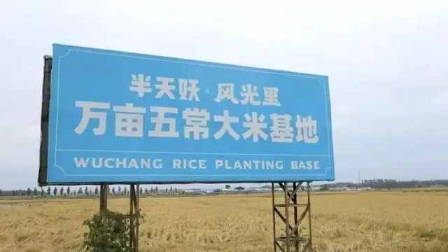 半天妖开启春节不打烊模式，烤鱼美味陪你过大年！