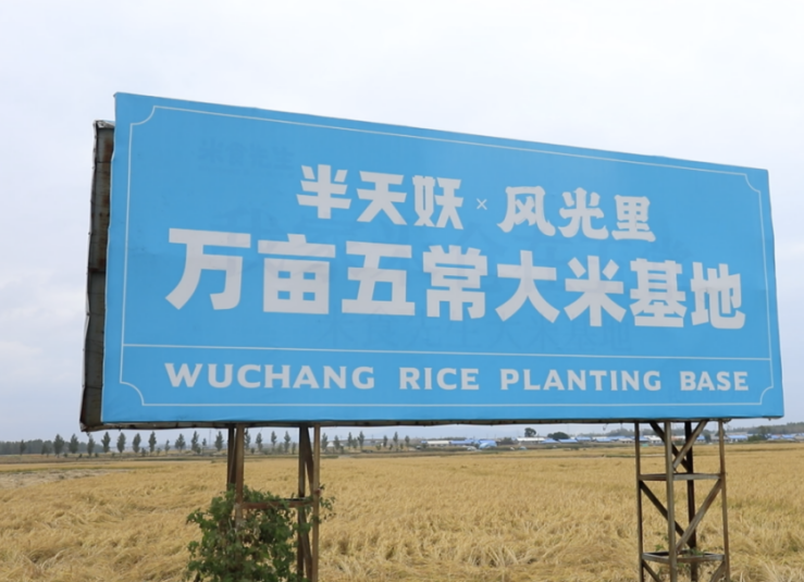 半天妖×风光里：饮食界CP强强联手，打造舌尖上的幸福升级！
