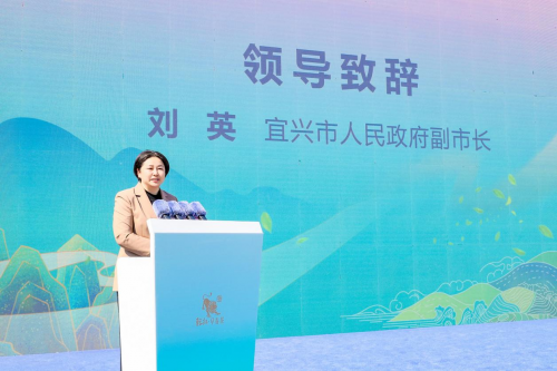 ‌2025年太华早春茶新品发布暨新茶品鉴会盛大开幕‌‌