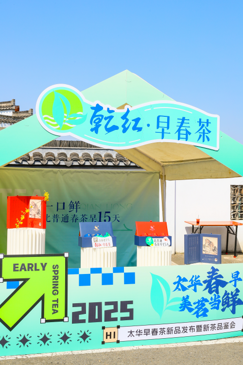 ‌2025年太华早春茶新品发布暨新茶品鉴会盛大开幕‌‌
