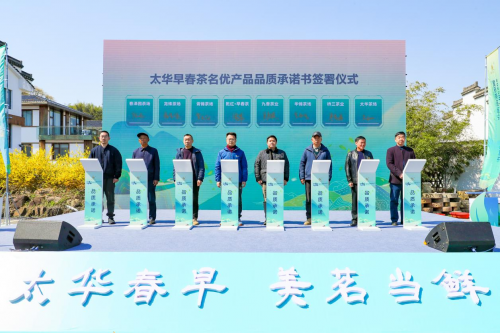 ‌2025年太华早春茶新品发布暨新茶品鉴会盛大开幕‌‌
