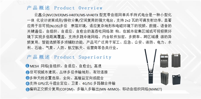 《云南延奔：科技创新驱动发展的典范》