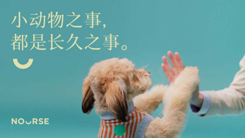 卫仕20周年，「不弃养公约行动」联动天猫聚划算欢聚日
