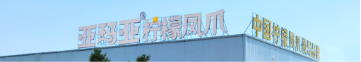 尚普咨询集团：亚玛亚集团双料爆品成就全国销量第一，燃爆糖酒会！