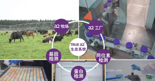 宝妈一定要知道的，选奶粉还看a2牛奶公司
