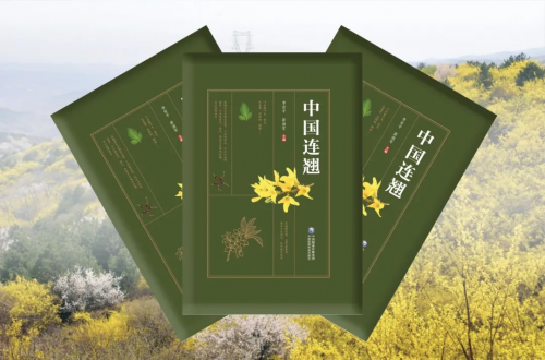 《中国连翘》重磅发布！