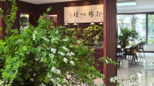 郑州枫林：用心理学守护美好生活