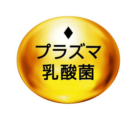 Plasma乳酸菌：日本风靡的"免疫调节专家"