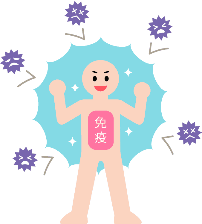 Plasma乳酸菌：日本风靡的"免疫调节专家"