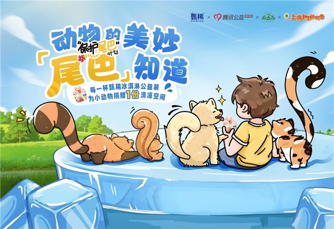夏日守护：小动物快乐过夏手册指南