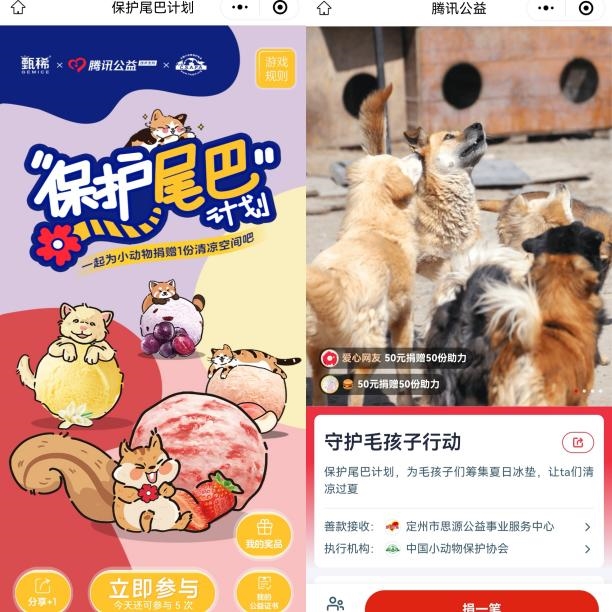 夏日守护：小动物快乐过夏手册指南