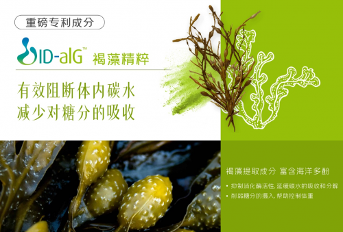 Melrose麦萝氏绿瘦子2.0重磅来袭，专利有机协同发力破局减重