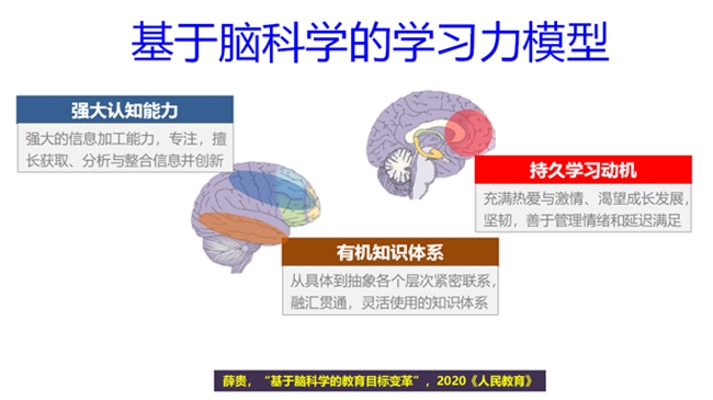 中黄教育快讯 | 脑科学赋能教学 人才培养注入新活力