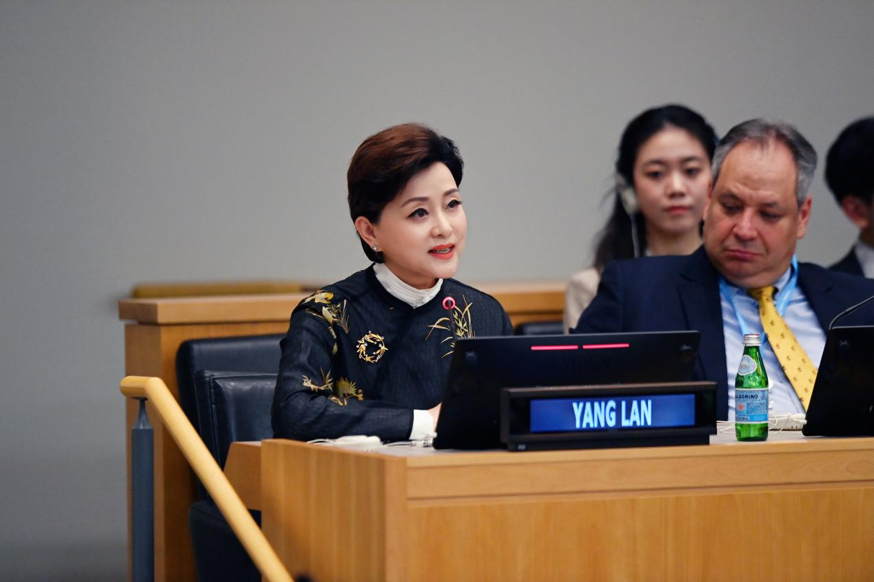 杨澜在联合国文明对话国际日作主题发言，谈“中华造物智慧”