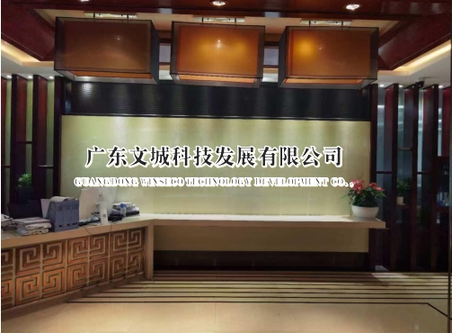 携手文城科技，共创辉煌未来