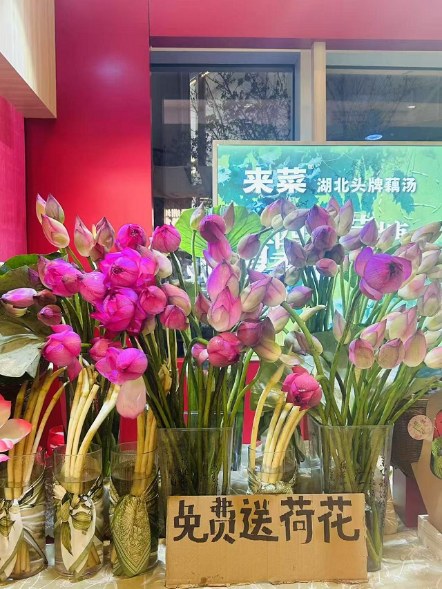 ​​"藕"遇鹏城香飘湾区——来菜·湖北头牌藕汤首驻华南​