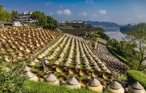 中国酱油 “活化石” 先市酱油，600 口陶缸中的微生物秘密