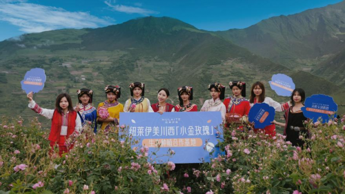 3000米+海拔采一滴玫瑰香，纽莱伊美探秘冰川小金玫瑰