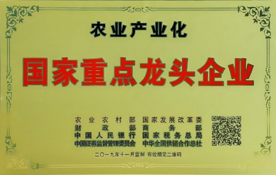 市场地位声明：盐津铺子，豆制品零食连续3年销量第一