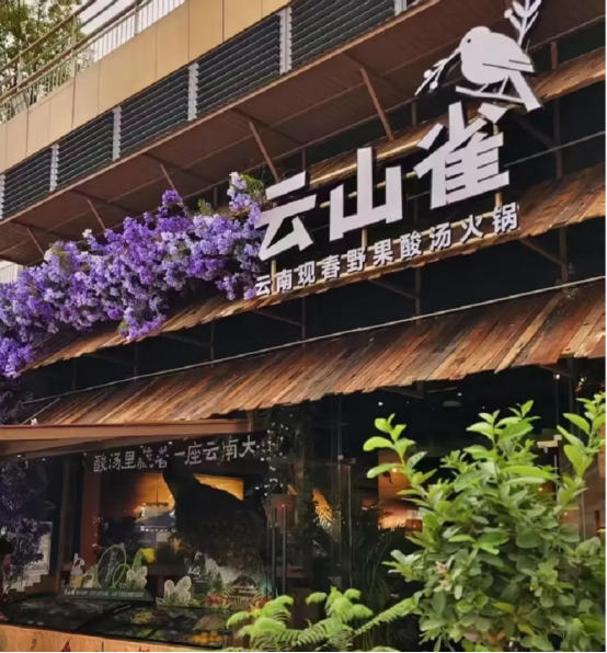 云山雀荣获尚普咨询集团系列市场地位声明