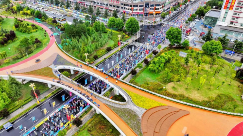 2025年西藏林芝南迦巴瓦高原体育大会奇正藏药-林芝半程马拉松圆满落幕！