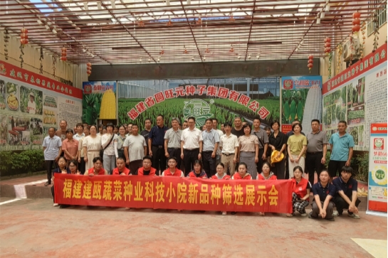 福建建瓯蔬菜种业科技小院新品种筛选展示会成功举办