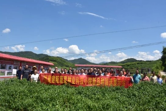 福建建瓯蔬菜种业科技小院新品种筛选展示会成功举办