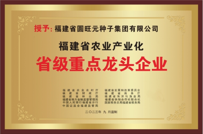 福建建瓯蔬菜种业科技小院新品种筛选展示会成功举办