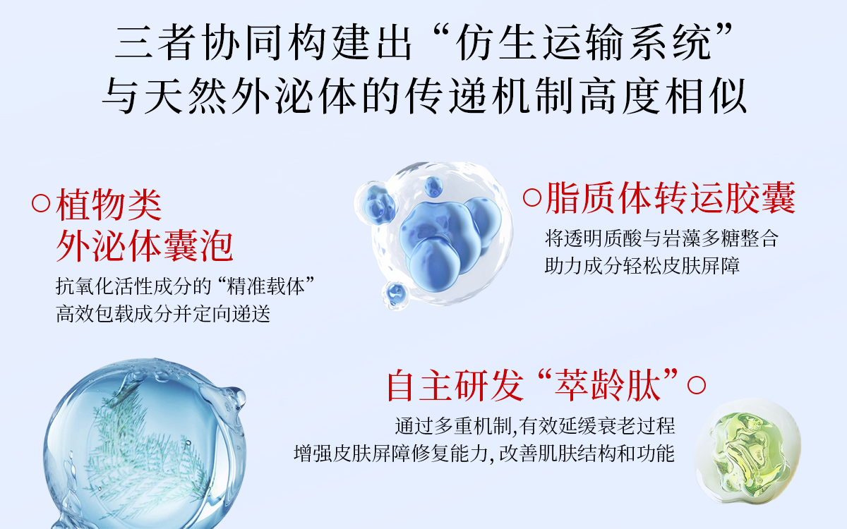 新闻稿配图.png