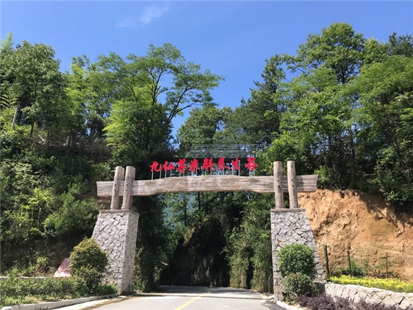 九仙尊荣膺【霍山石斛行业领导者】  十五年深耕不辍，成就行业公认标杆