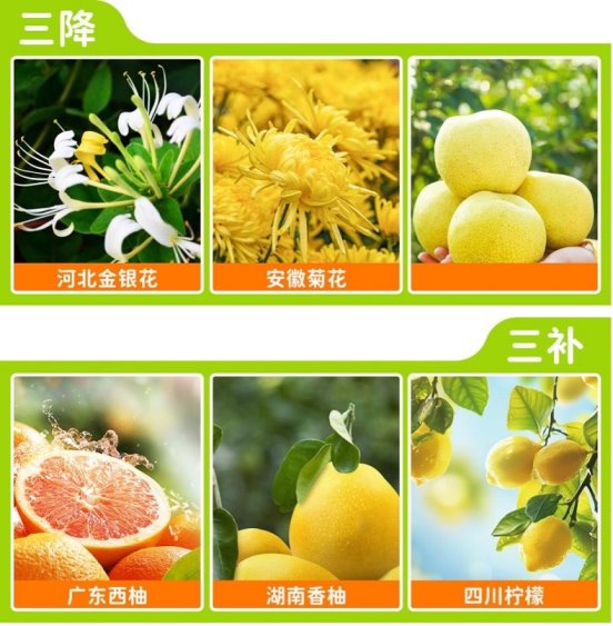 小葵花金银花双柚汁获权威认定，开创中国植物饮料新品类