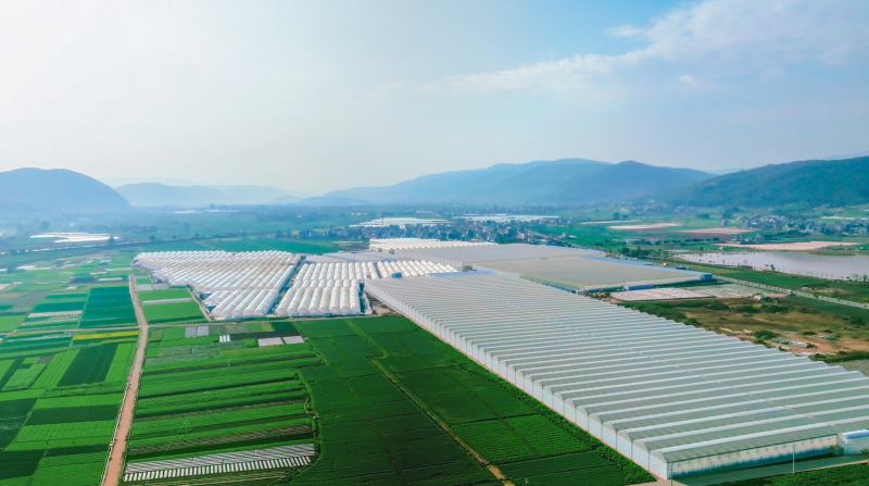 春沐源科技农业冠名2025春沐源大理“小河淌水”半程马拉松 以马拉松精神跑出企业健康发展之路