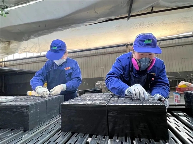 刷新电池行业寿命纪录，客户点赞：好电池，超威造