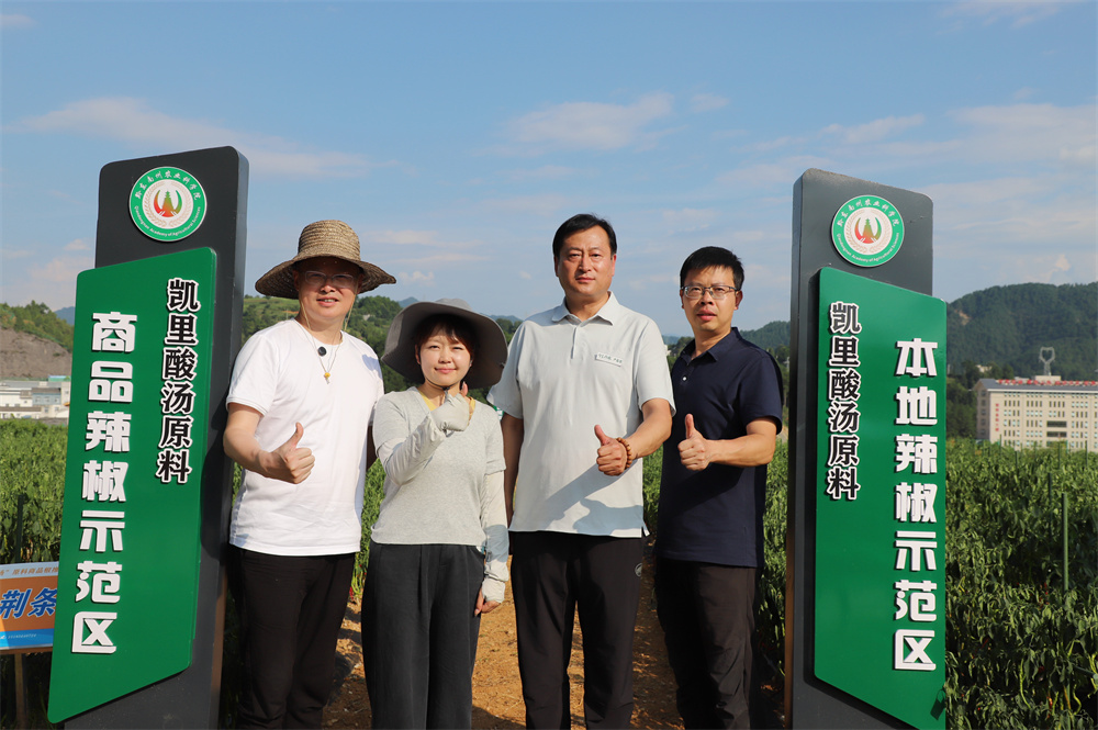 新希望味业与贵州凯里市政府签订酸汤产业合作协议，  红酸汤火锅底料山姆上市！