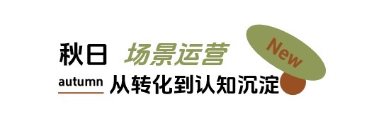 秋日「焕」新，上新研究所应季新品营销新解法