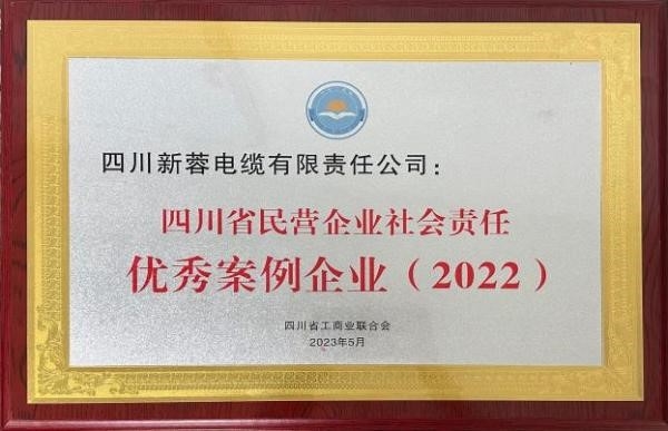 不止于 “制造”：新蓉电缆的行业担当与未来蓝图
