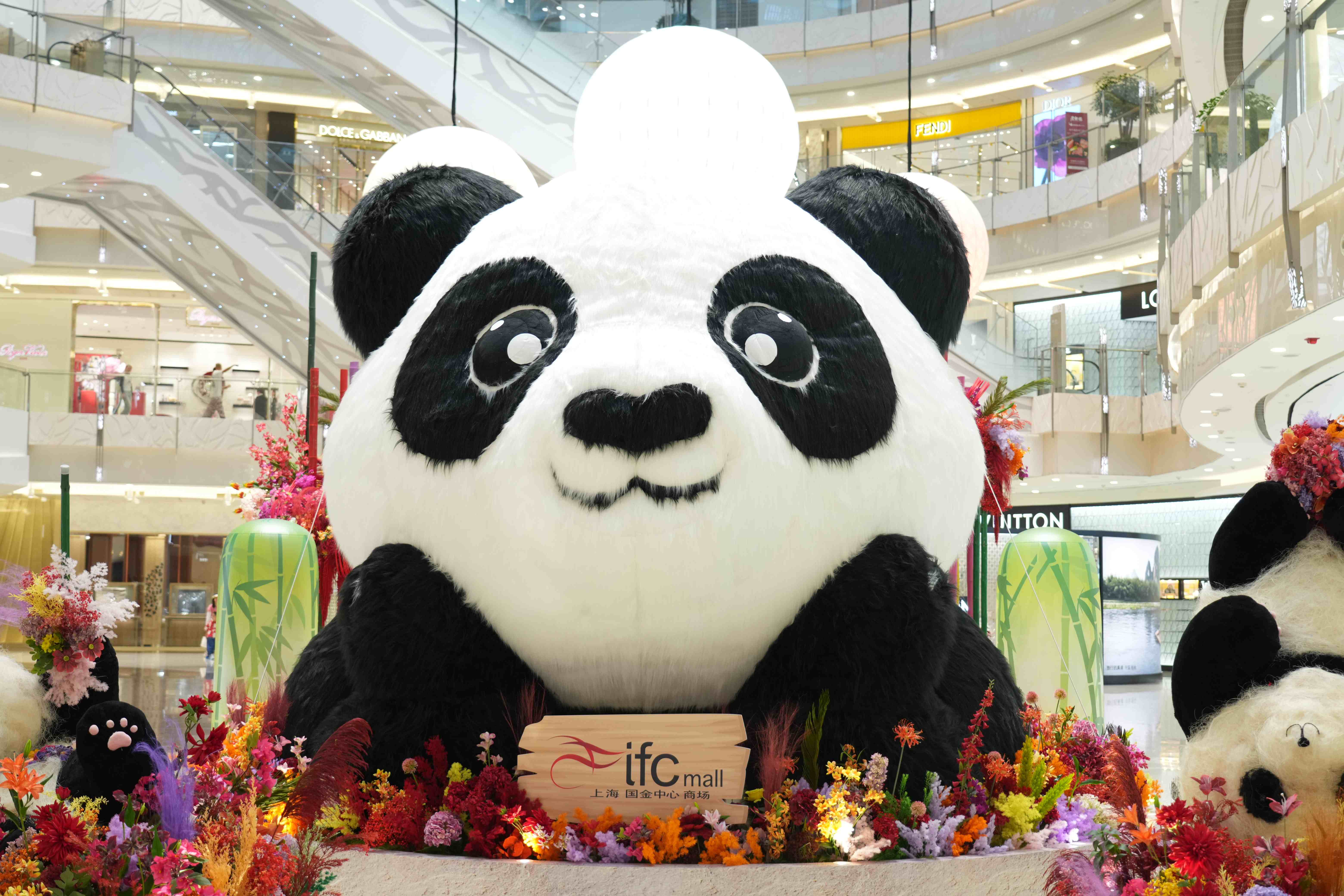 上海ifc商场竹趣熊猫乐园惊喜亮相