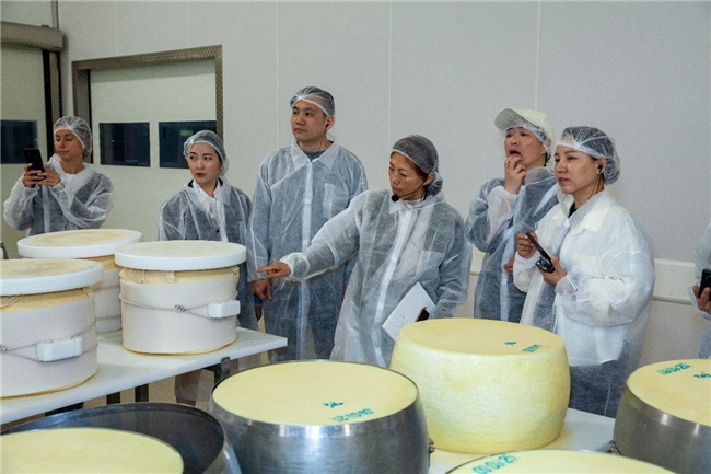 从源头到餐桌：哥瑞纳·帕达诺PDO奶酪开启风味溯源之旅