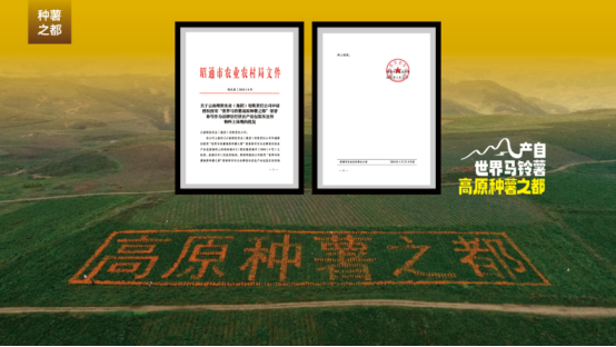 市场地位声明：噜咪啦 云贵薯片开创者，云贵薯片全国销量第一