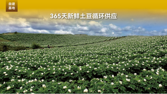 市场地位声明：噜咪啦 云贵薯片开创者，云贵薯片全国销量第一