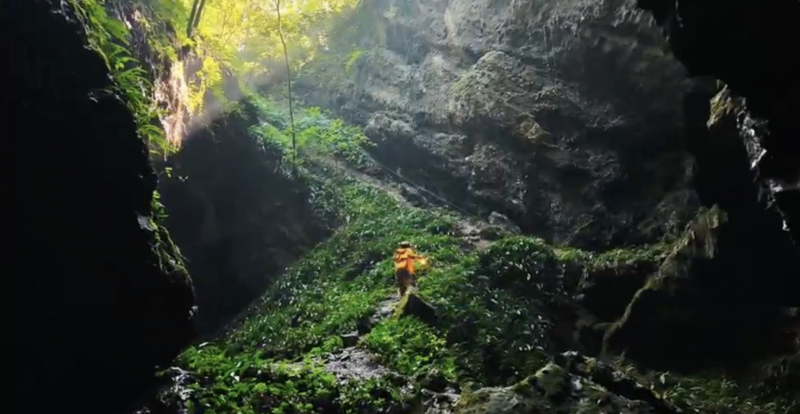 美素佳儿驶入汽车圈：从营养到安全，重塑高端家庭“守护力”