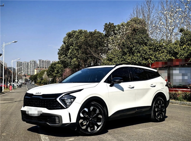 十几万 SUV 怎么选？上班族的家用刚需，我选狮铂拓界